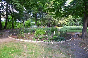 Garden underneath trees