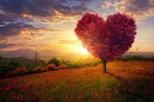 Heart shaped tree with sunset in the background