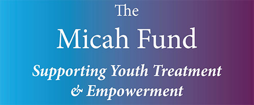 The Micah Fund logo